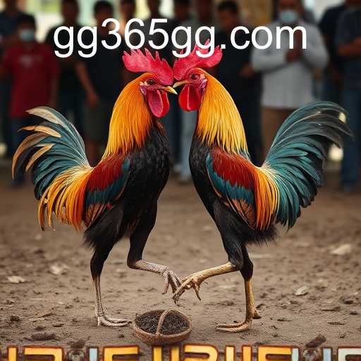 Cockfighting: A Controversial Sport